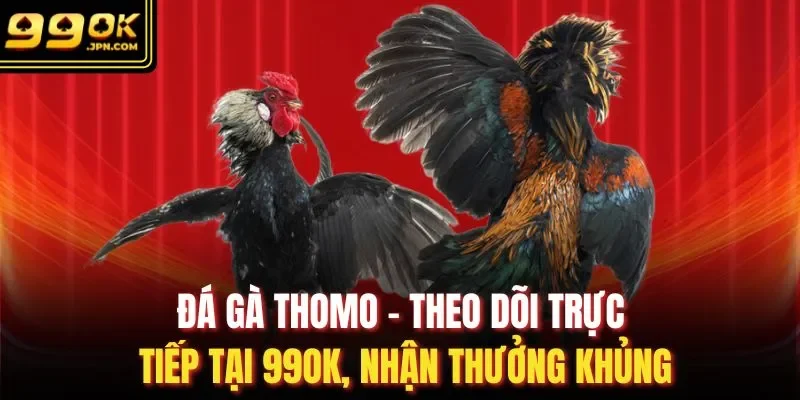 đá gà Thomo