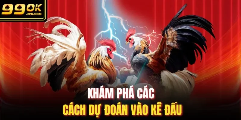 Khám phá các cách dự đoán vào kê đấu