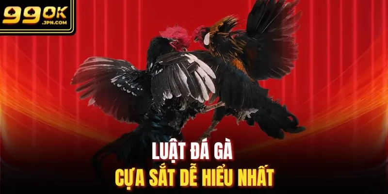 Luật đá gà cựa sắt dễ hiểu nhất