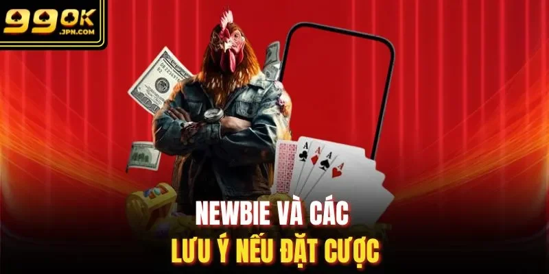 Newbie và các lưu ý nếu đặt cược
