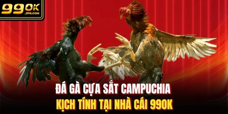 Đá Gà Cựa Sắt Campuchia Kịch Tính Tại Nhà Cái 99OK