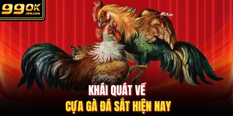 Khái quát về cựa gà đá sắt hiện nay 