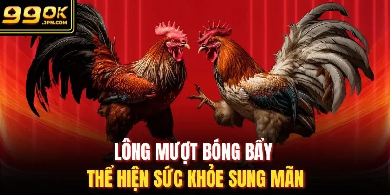 Lông mượt bóng bẩy thể hiện sức khỏe sung mãn