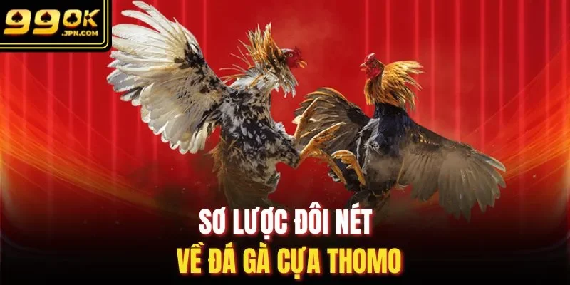 Sơ lược đôi nét về đá gà cựa thomo